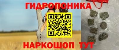 соль ск Будённовск