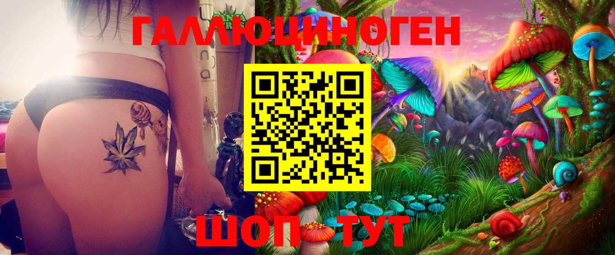 Галлюциногенные грибы MAGIC MUSHROOMS  Галлюциногенные грибы Cubensis  Якутск  Вход с VPN 